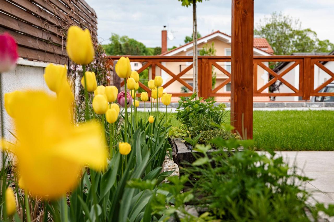 Chalet Nova Lesna Mountain View Екстер'єр фото